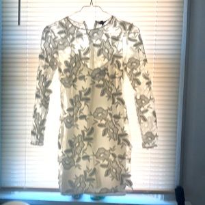 Beautiful lace  overlay dress